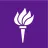 New York University logo